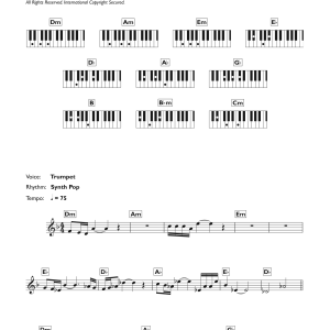 James Horner Main Title / Young Peter (From The Amazing Spider-Man) Musik Noten - Piano Chords/Lyrics - 115046-0