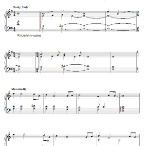 James Newton Howard Central Park Musik Noten - Piano Solo - 54689-0