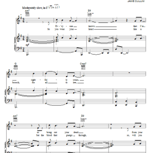 Jamie Cullum Love Ain't Gonna Let You Down Musik Noten - Piano, Vocal & Guitar Chords - 76279-0