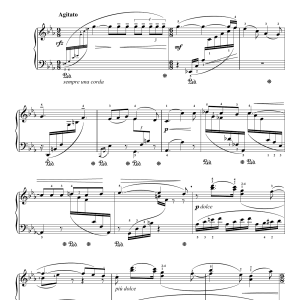 Jean Sibelius 13 Morceaux, Op.76 - VII. Affettuoso Musik Noten - Piano Solo - 121680-0
