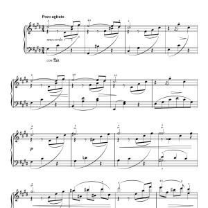 Jean Sibelius 13 Morceaux, Op.76 - X. Elegiaco Musik Noten - Piano Solo - 121687-0