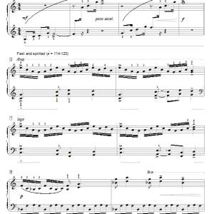 Jennifer Linn Spirit Of The West Musik Noten - Educational Piano - 26928-0
