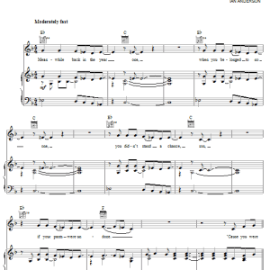 Jethro Tull Skating Away (On The Thin Ice Of A New Day) Musik Noten - Piano, Vocal & Guitar Chords - 29979-0