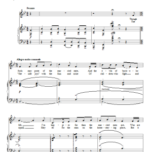 Joan Frey Boytim I Want What I Want When I Want It Musik Noten - Piano & Vocal - 85864-0