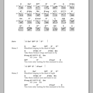 Jodie Winter Blackbird Musik Noten - Guitar Chords/Lyrics - 101129-0