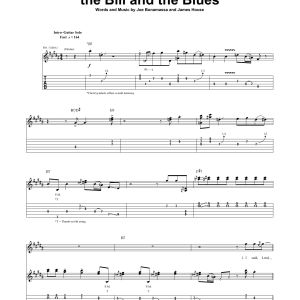 Joe Bonamassa You Left Me Nothin' But The Bill And The Blues Musik Noten - Guitar Tab - 165338-0
