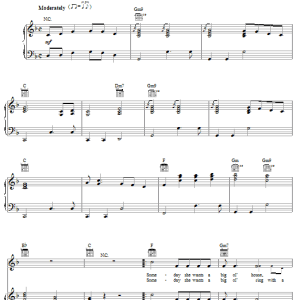 Joe Nichols Size Matters (Someday) Musik Noten - Piano, Vocal & Guitar Chords - 54541-0