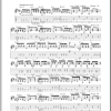 Joe Satriani Brother John Musik Noten - Guitar Tab - 71515-0