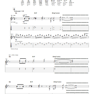 Joe Satriani Chords Of Life Musik Noten - Guitar Tab - 64856-0
