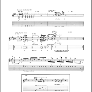 Joe Satriani Hordes Of Locusts Musik Noten - Guitar Tab - 71689-0