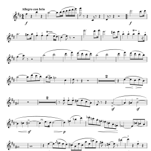 Johann Nepomuk Hummel Sonata For Flute And Piano In D Major, Op.50 Musik Noten - Flute Solo - 104460-0