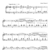 Johann Strauss II Waltz: Voices Of Spring Musik Noten - Piano Solo - 100042-0