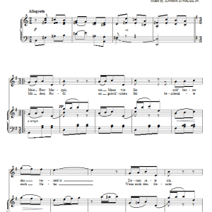 Johann Strauss Jr. Mein Herr Marquis Musik Noten - Piano, Vocal & Guitar Chords - 69176-0