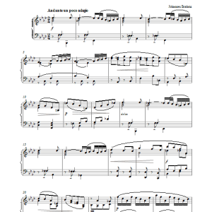 Johannes Brahms Clarinet Sonata No. 1 in F Minor, Op. 120 (2nd movement: Andante un poco adagio) Musik Noten - Piano Solo - 27429-0