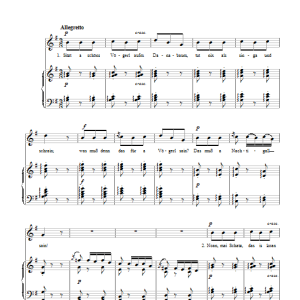 Johannes Brahms Die Nachtigall Musik Noten - Piano & Vocal - 112158-0