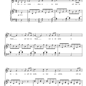 Johannes Brahms Marienwurmchen Musik Noten - Piano & Vocal - 112332-0