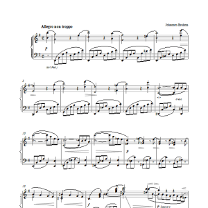 Johannes Brahms Symphony No. 4 in E Minor (1st movement: Allegro non troppo) Musik Noten - Piano Solo - 27423-0