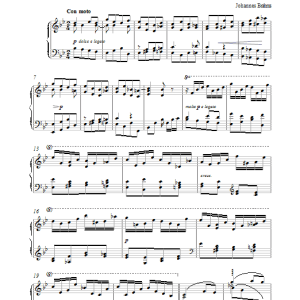 Johannes Brahms Variations on St Anthony Chorale (Variation No. 3) Musik Noten - Piano Solo - 27442-0