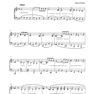 Johannes Brahms Violin Sonata No. 3 in D Minor (Opening from 1st movement: Allegro) Musik Noten - Piano Solo - 27445-0