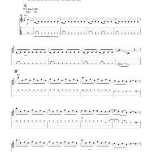 John 5 Fiddler's Musik Noten - Guitar Tab - 53453-0