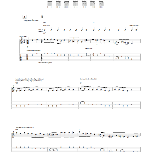 John 5 Gein With Envy Musik Noten - Guitar Tab - 53450-0