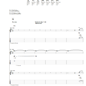 John 5 The Washing Away Of Wrong Musik Noten - Guitar Tab - 59630-0