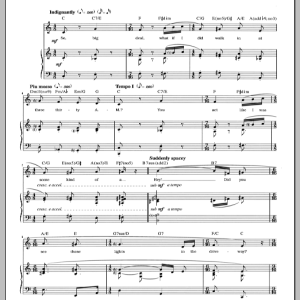 John Bucchino A Contact High Musik Noten - Piano & Vocal - 88747-0