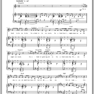 John Bucchino The Artist At 40 Musik Noten - Piano & Vocal - 88740-0