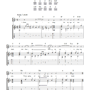 John Dowland Come, Heavy Sleep (as performed by Sting and Edin Karamazov) Musik Noten - Guitar Tab - 104096-0