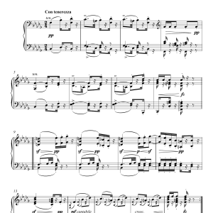 John Knowles Paine Funeral March Op.9 Musik Noten - Piano Solo - 120773-0