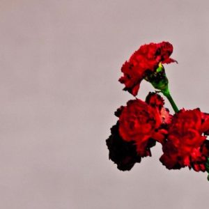 John Legend Who Do We Think We Are Musik Noten - Piano, Vocal & Guitar Chords - 155911-thumbnail