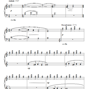 John Lunn Damaged Musik Noten - Piano Solo - 95129-0