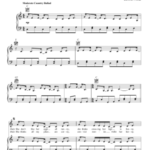 John Prine In Spite Of Ourselves Musik Noten - Piano, Vocal & Guitar Chords - 173295-0