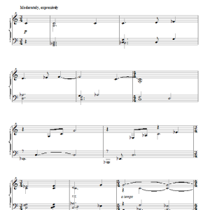 John Williams The Captain's Counsel Musik Noten - Piano Solo - 88612-0