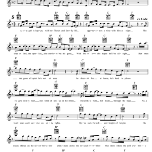 John Williamson Bushman Can't Survive Musik Noten - Lead Sheet / Fake Book - 39133-0