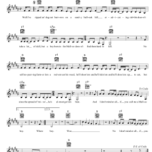 John Williamson Mallee Boy Musik Noten - Lead Sheet / Fake Book - 39283-0