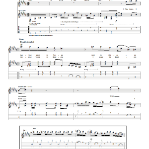 Johnny Winter Hustled Down In Texas Musik Noten - Guitar Tab - 22067-0