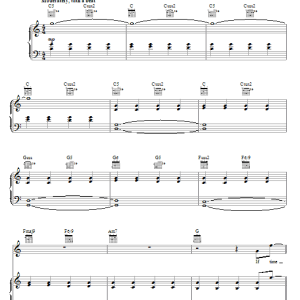Jonas Brothers Fly With Me Musik Noten - Piano, Vocal & Guitar Chords - 73119-0