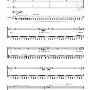 Jonathan Lloyd The Greenwood's Lament (for mezzo-soprano, baritone and guitar) Musik Noten - Piano & Vocal - 45856-0