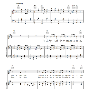 Joseph George Gilbert Me And Jane In A Plane Musik Noten - Piano, Vocal & Guitar Chords - 111702-0