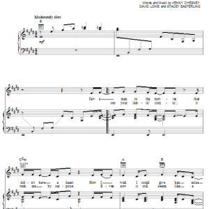 Kenny Chesney The Tin Man Musik Noten - Piano, Vocal & Guitar Chords - 18884-0