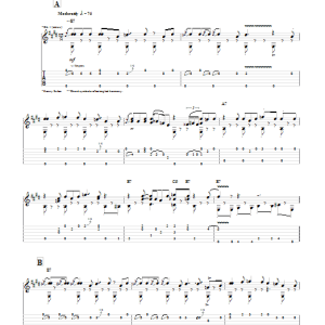 Kenny Sultan Heartbreak Hotel Musik Noten - Guitar Tab - 77927-0