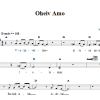 Larry Karol Oheiv Amo Musik Noten - Lead Sheet / Fake Book - 66606-0