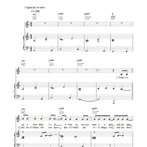 Lee Ryan Turn Your Car Around Musik Noten - Piano, Vocal & Guitar Chords - 34166-0