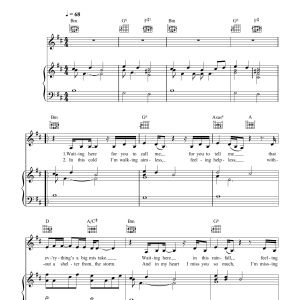 Leona Lewis Homeless Musik Noten - Piano, Vocal & Guitar Chords - 39774-0