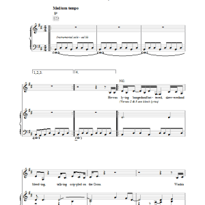 Lou Reed Dime Store Mystery Musik Noten - Piano, Vocal & Guitar Chords - 39303-0