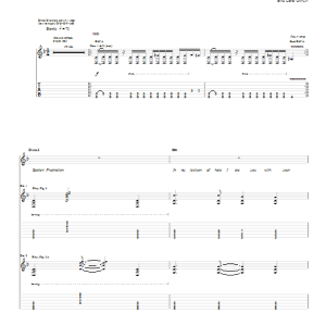 Lou Reed & Metallica Frustration Musik Noten - Guitar Tab - 89814-0