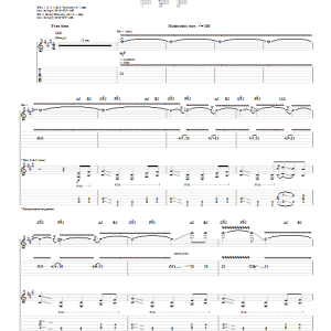 Lou Reed & Metallica Pumping Blood Musik Noten - Guitar Tab - 89856-0