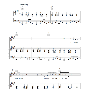 Lou Reed Nobody But You Musik Noten - Piano, Vocal & Guitar Chords - 39043-0