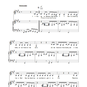 Lou Reed Sick Of You Musik Noten - Piano, Vocal & Guitar Chords - 39278-0